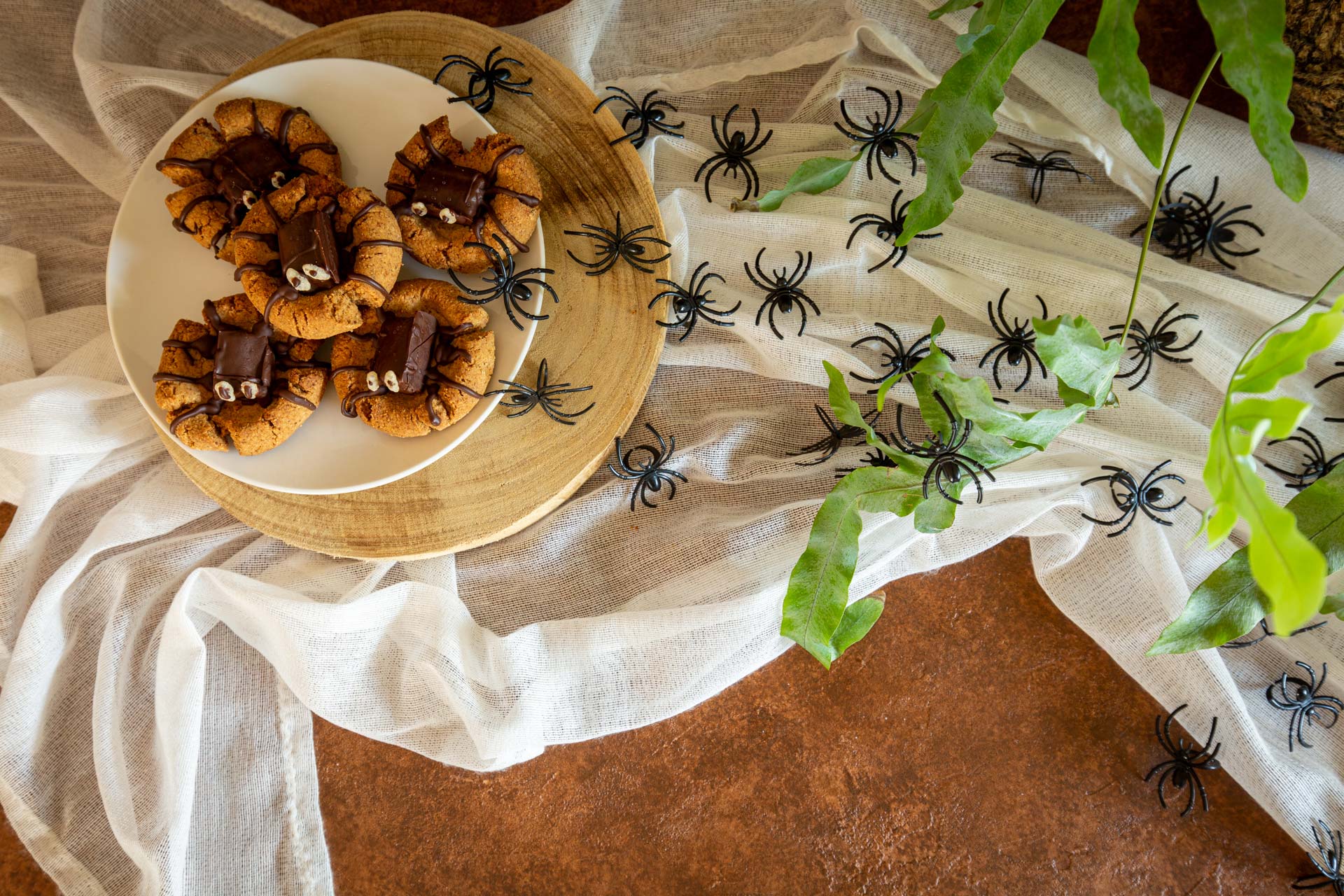 Spiders Entering their nest containing spider cookies topped with Gaia Tree Blind Dates